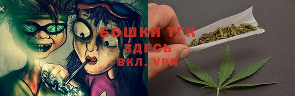 соль ск Бородино