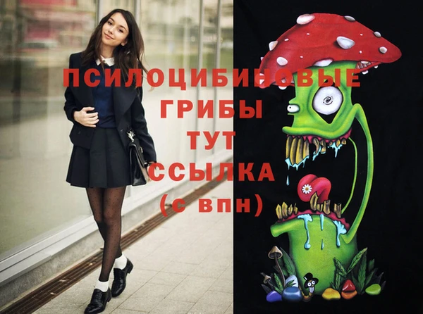 соль ск Бородино