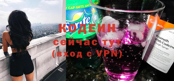 соль ск Бородино