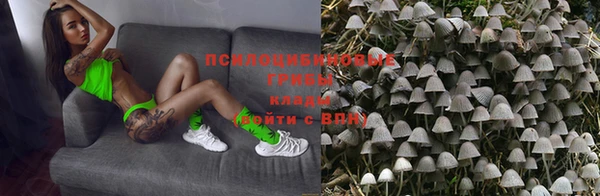 а пвп мука Бугульма