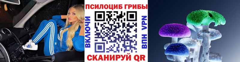 Галлюциногенные грибы GOLDEN TEACHER  Яровое 